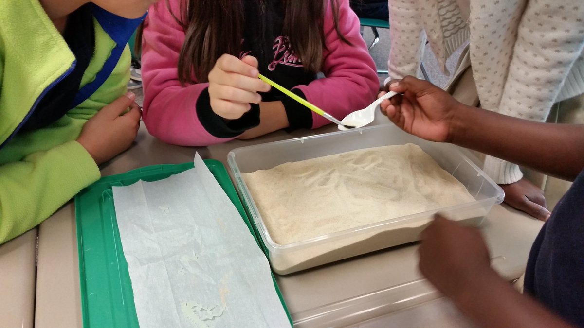 callawayj2's tweet photo. Digging up fossils @ WPE @Veronic33615306 @MelissaPingley @bcrow https://t.co/eHo1l7QKlX