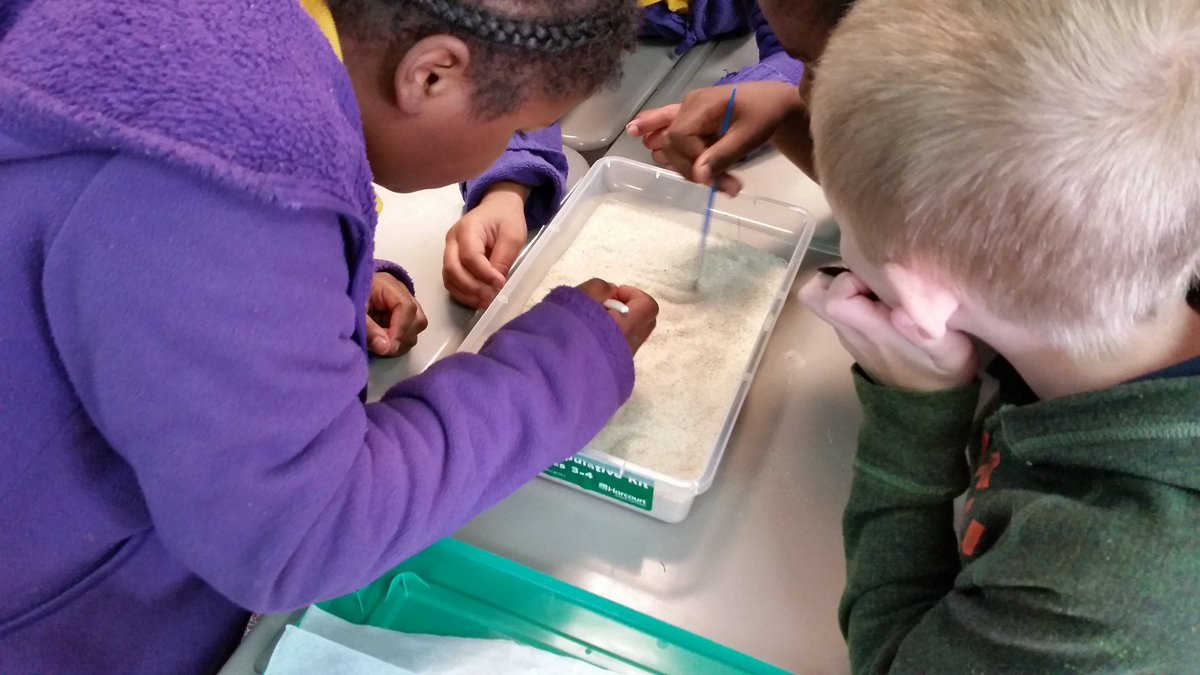 callawayj2's tweet photo. Digging up fossils @ WPE @Veronic33615306 @MelissaPingley @bcrow https://t.co/eHo1l7QKlX