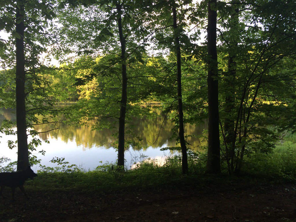 Bill Faison tweet media