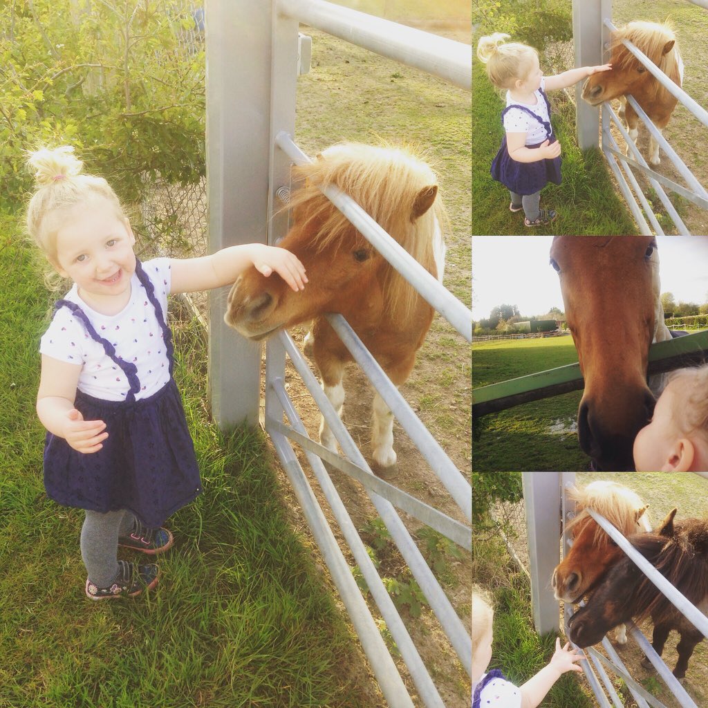 eshackell's tweet image. Too cute ❤️❤️❤️