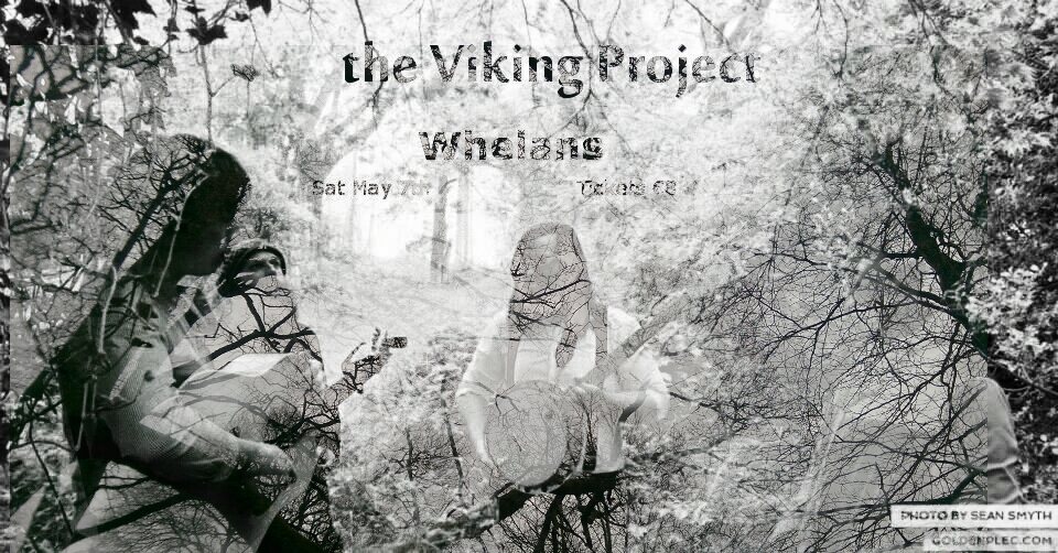the Viking Project tweet media