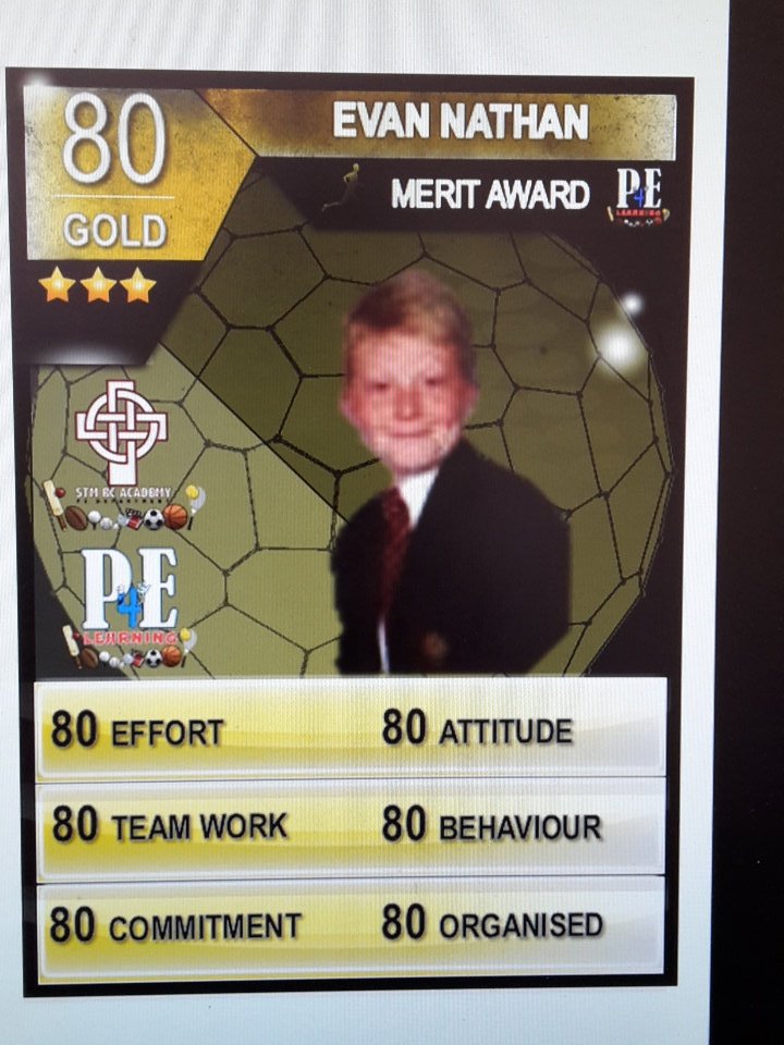 STM_PE's tweet photo. Well done to our @STM_PE GOLD Stars in PE #PELads #rolemodels https://t.co/xy2ep6QtXi