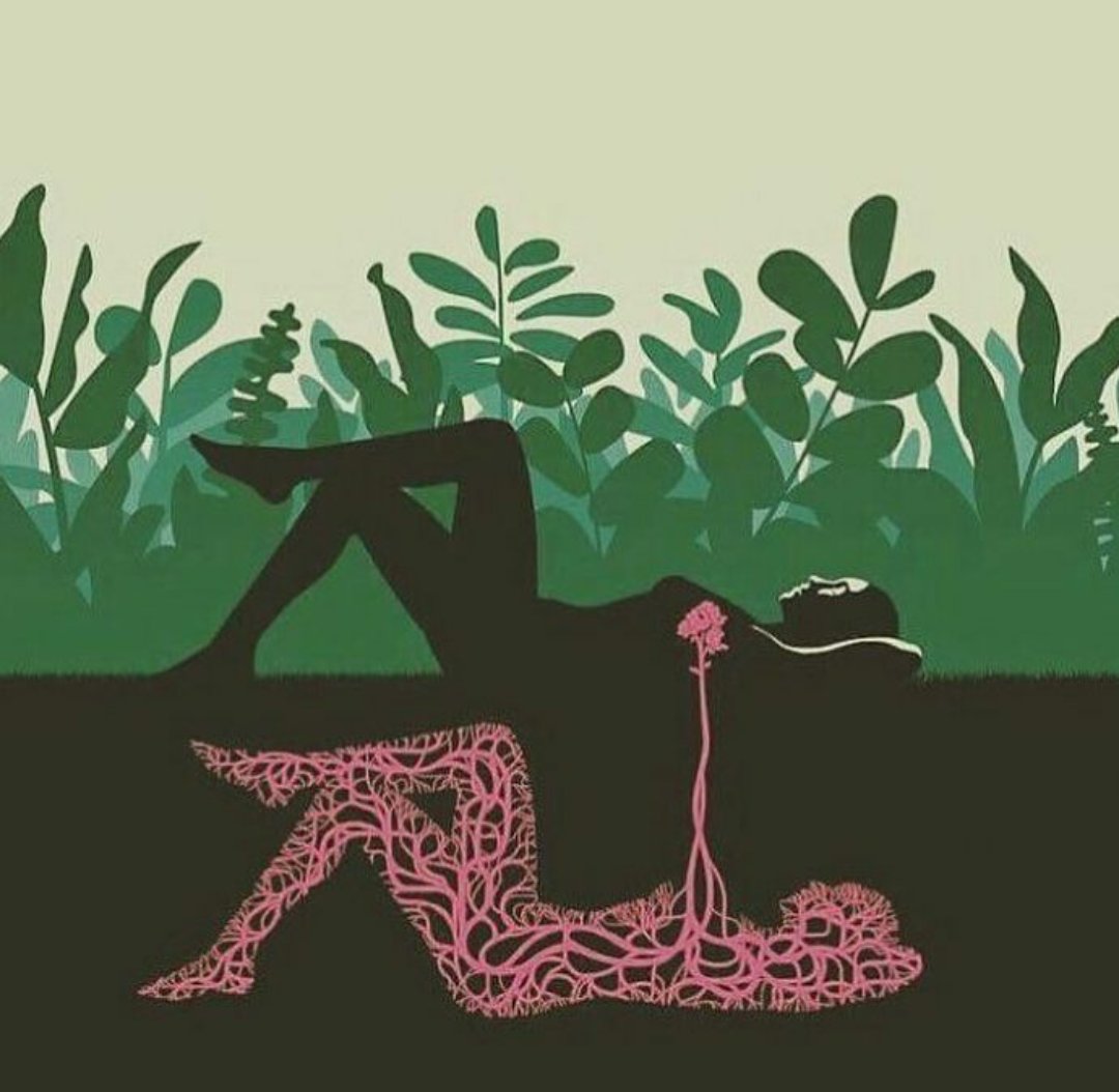 OpenedMinds's tweet image. Connect with nature.