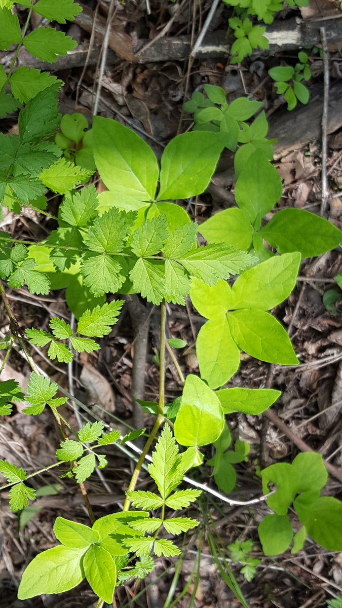 hsb015's tweet image. 