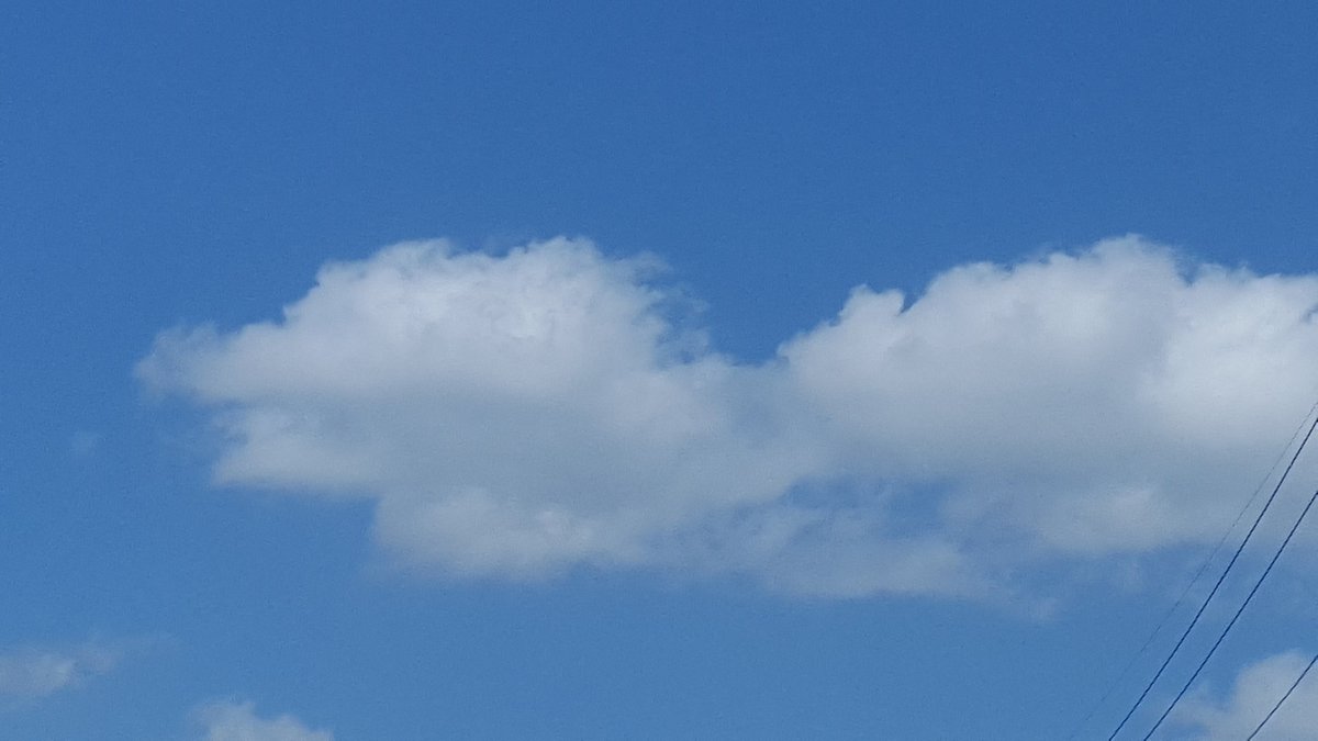 hsb015's tweet image. 