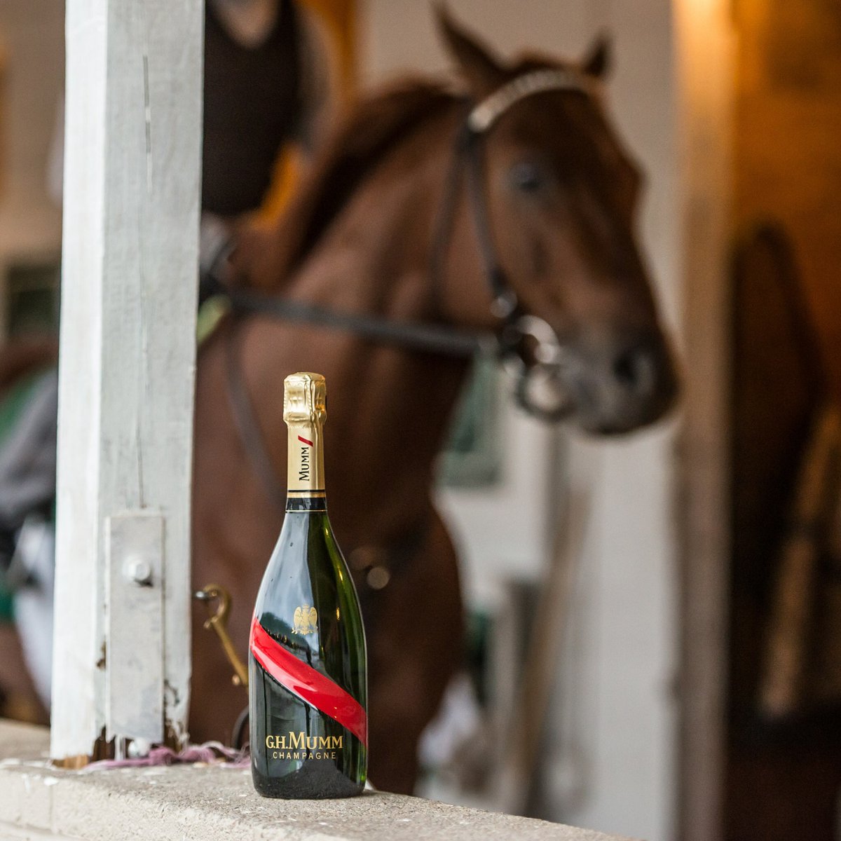Getting up close and personal with a few #KyDerby stars. #DareWinCelebrate (📸: Joe Lyman)