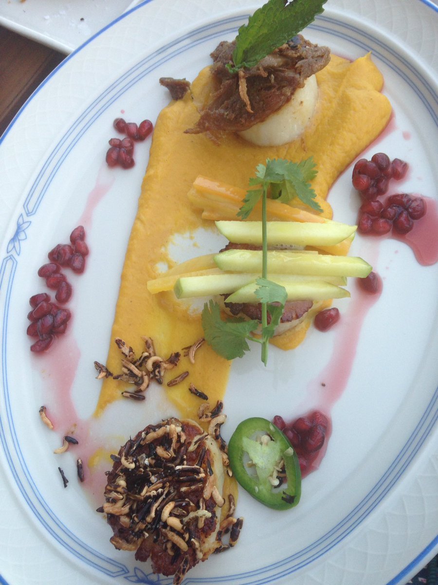 TheBasicBee's tweet image. 3 scallops all uniquely topped- 1.wild rice, 2.apples, &amp;amp; 3.duck confit. My favorite was the honey mustard sauce 👌🏼