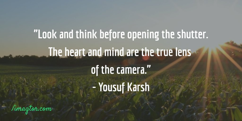 imagtor's tweet photo. #heart and #mind are #truelens!
#professionalphotographer #quote
#imagtor #photoedit #retouch #socialenterprise https://t.co/QEn9wbsvmO
