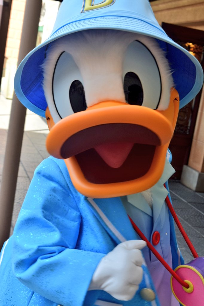 たい✌ゴジラ～(誤字)☆ tweet media