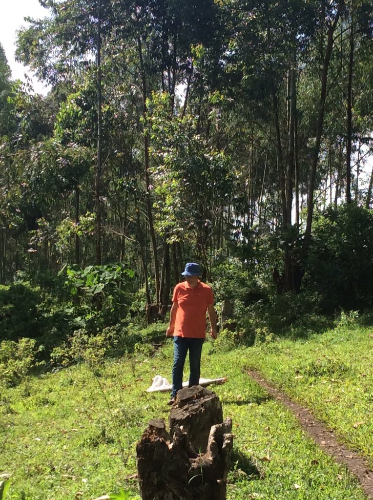 BirtlesR's tweet photo. Sadly the performance of the mobile parasitiform recovery module has been compromised by red ants #itsablanket https://t.co/jqmqy6QGJl