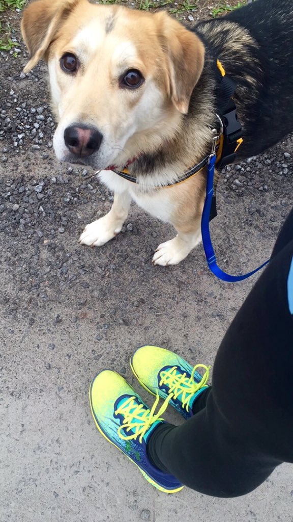 holcostanza's tweet photo. Every morning🏃🏻💨 #runningbuddy #run #training #nationalprep #footy https://t.co/atK1bDhRq2