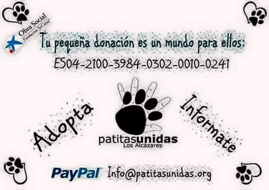 PatitasUnidas13's tweet photo. Tu pequeña donación puede salvar vidas. ¡Animate! "Quizás no puedas arreglar el mundo pero si su mundo" https://t.co/oqDf28fVUA