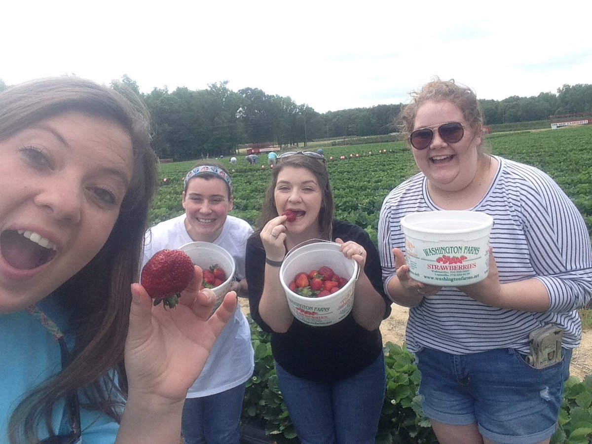 MsScanlan9's tweet photo. EDMG goes strawberry picking/eating #edms17 https://t.co/wKbTh0Ku2B