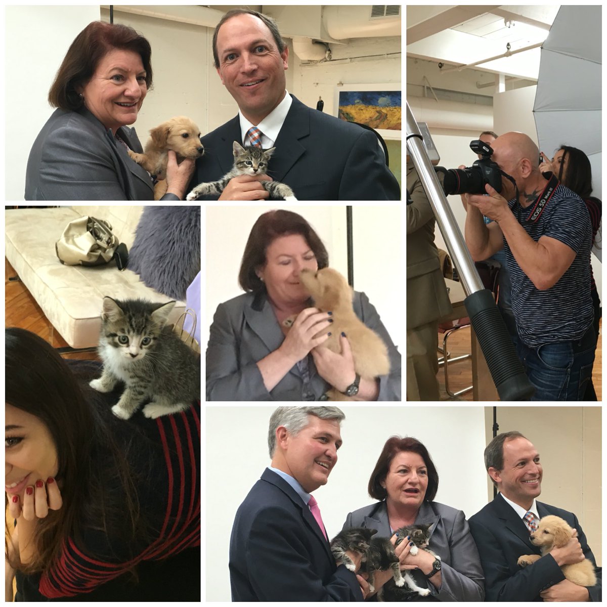 Puppy smell &amp; tabby kittens - 2 of my faves. Thx to <a href="/sdhumane/">San Diego Humane Society</a> for awards, &amp; Cody, Lucky, Dusty &amp; Ned for fun shoot!