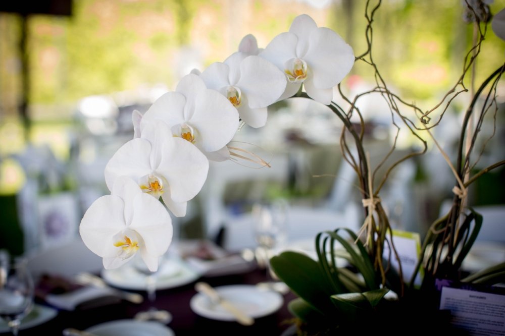 Hats off to our #SpringHatLuncheon Bronze Sponsors @ShopLevin, <a href="/allisonmcgearyf/">Allison McGeary</a>, <a href="/GiantEagle/">Giant Eagle, Inc.</a>, @federatednews!