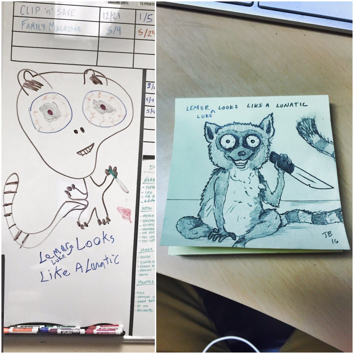 basercreatures's tweet photo. Doodle transformations. #doodles #drawing #dryeraseboard #lemur #crazy #basercreatures #art #lunatic #cuteanimals https://t.co/svWrbjGhml