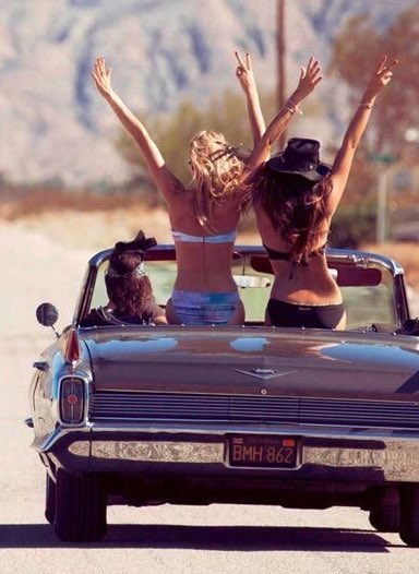 daddyskitty6's tweet photo. @Epeolatry_lass @EloaAngel @Sub_Ariel @yankees_belle @NaughtyBella20 @Kinky_Kitten_ https://t.co/PQKrzcWASu