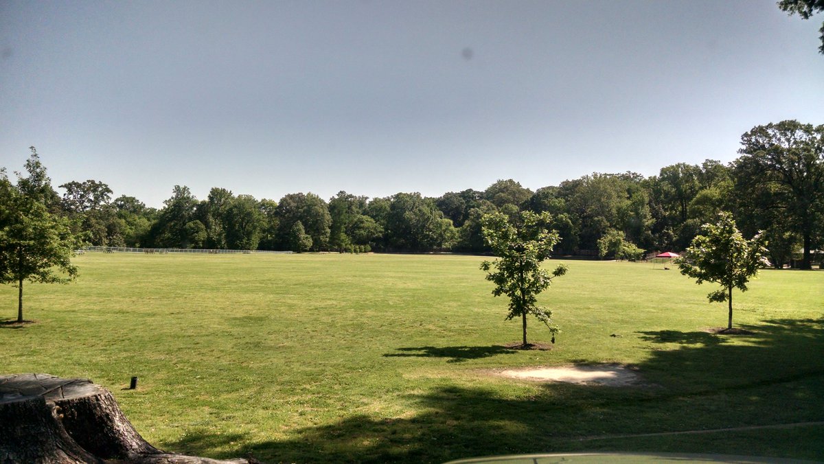 earlefarrelltex's tweet photo. This huge grassy area is where the Latino Festival will be this weekend https://t.co/IpkTPqc5nr https://t.co/BODX4chKzr