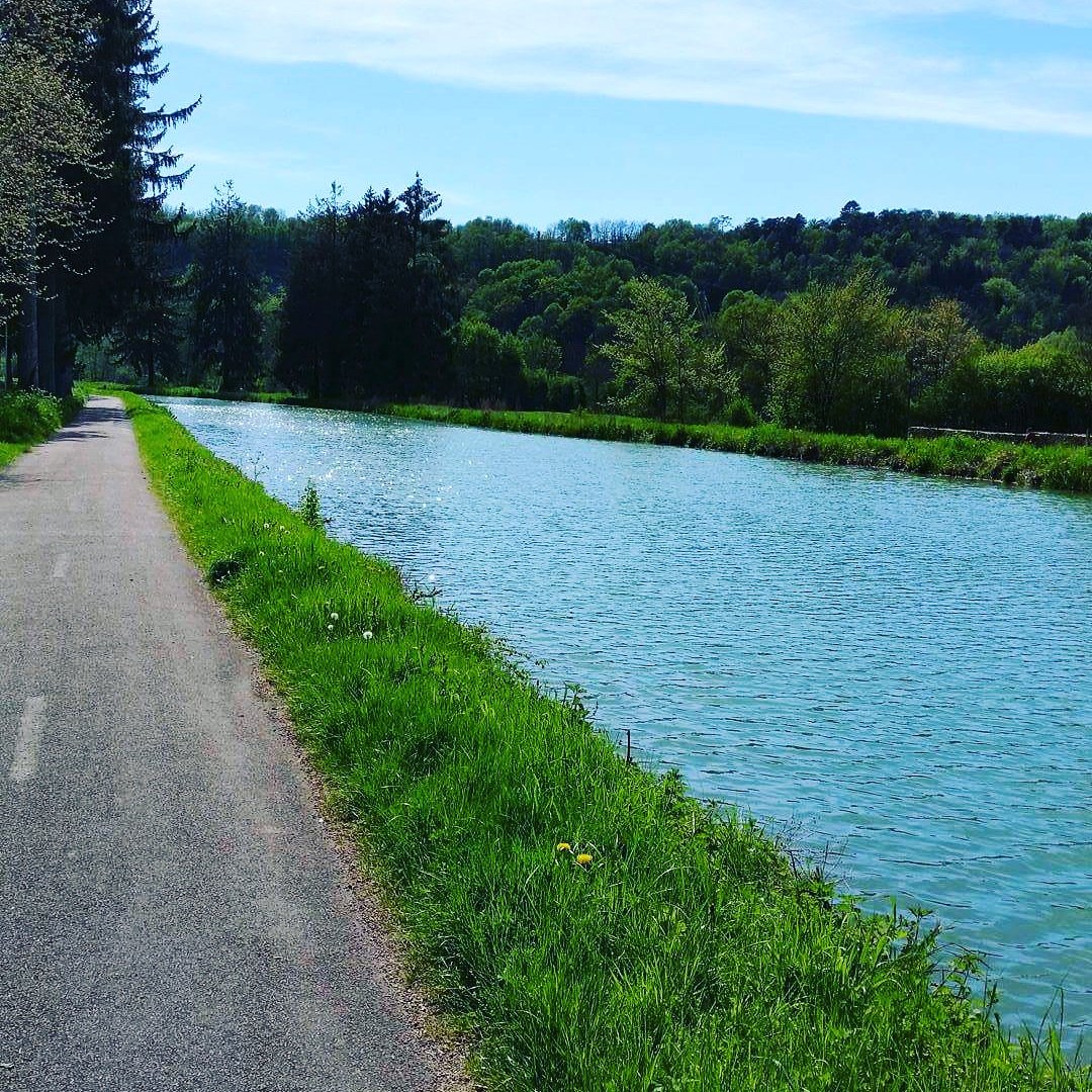 jaimehautemarne's tweet photo. #France #hautemarne #département #promenade #chamarande #choignes #Paysagessublimes #nature
canal à chamarande https://t.co/wt1ukBvDnw