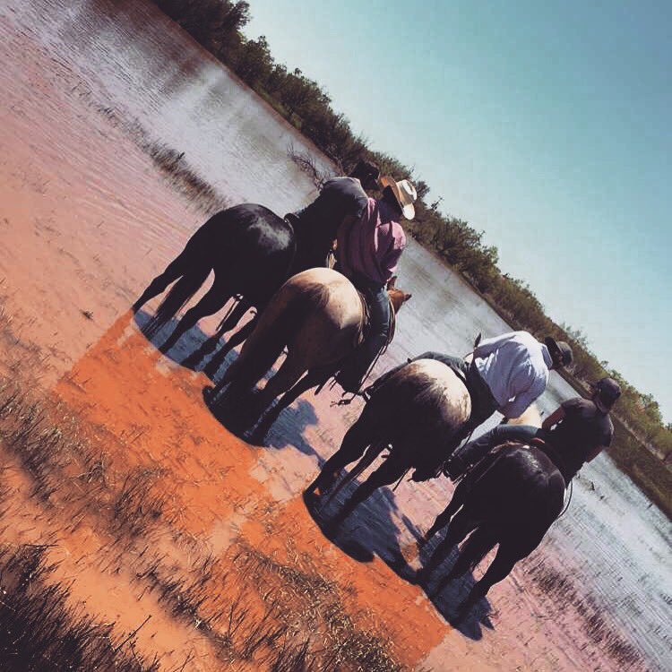 colee_hatley's tweet photo. #westtexas https://t.co/8F8imjyCga