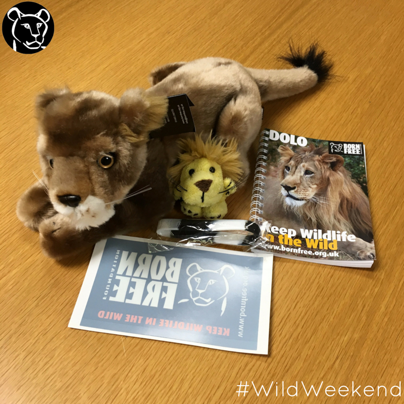BornFreeFDN's tweet photo. Want to win some Born Free goodies? Simply RT this post to enter :) Have a great #WildWeekend Team Born Free 🐾 https://t.co/SvcxVM1H3j