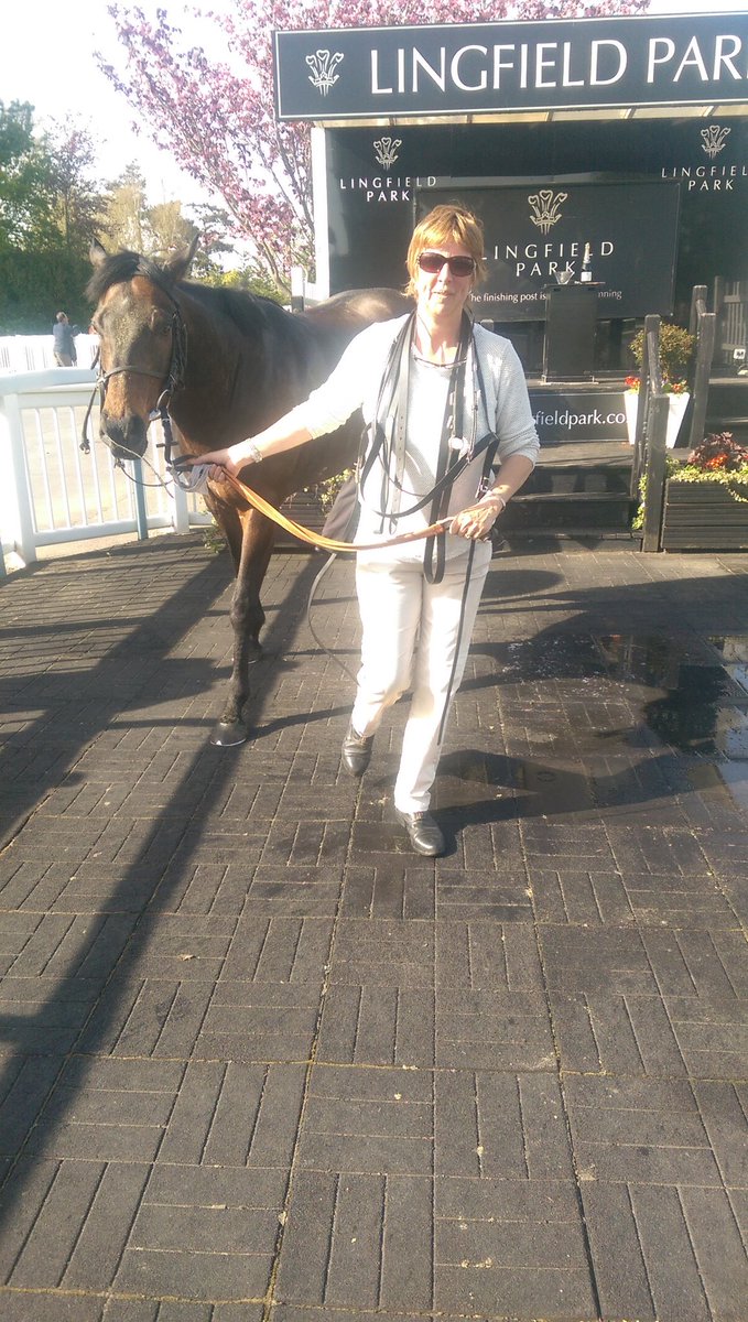LingfieldPark's tweet photo. Space War takes the last race https://t.co/Y5E8GFGcMh