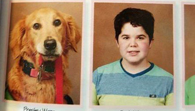 Mashable (@mashable) on Twitter photo Student's service dog gets her own, adorable picture in the yearbook on.mash.to/1q3KpAf Student's service dog gets her own, adorable picture in the yearbook on.mash.to/1q3KpAf