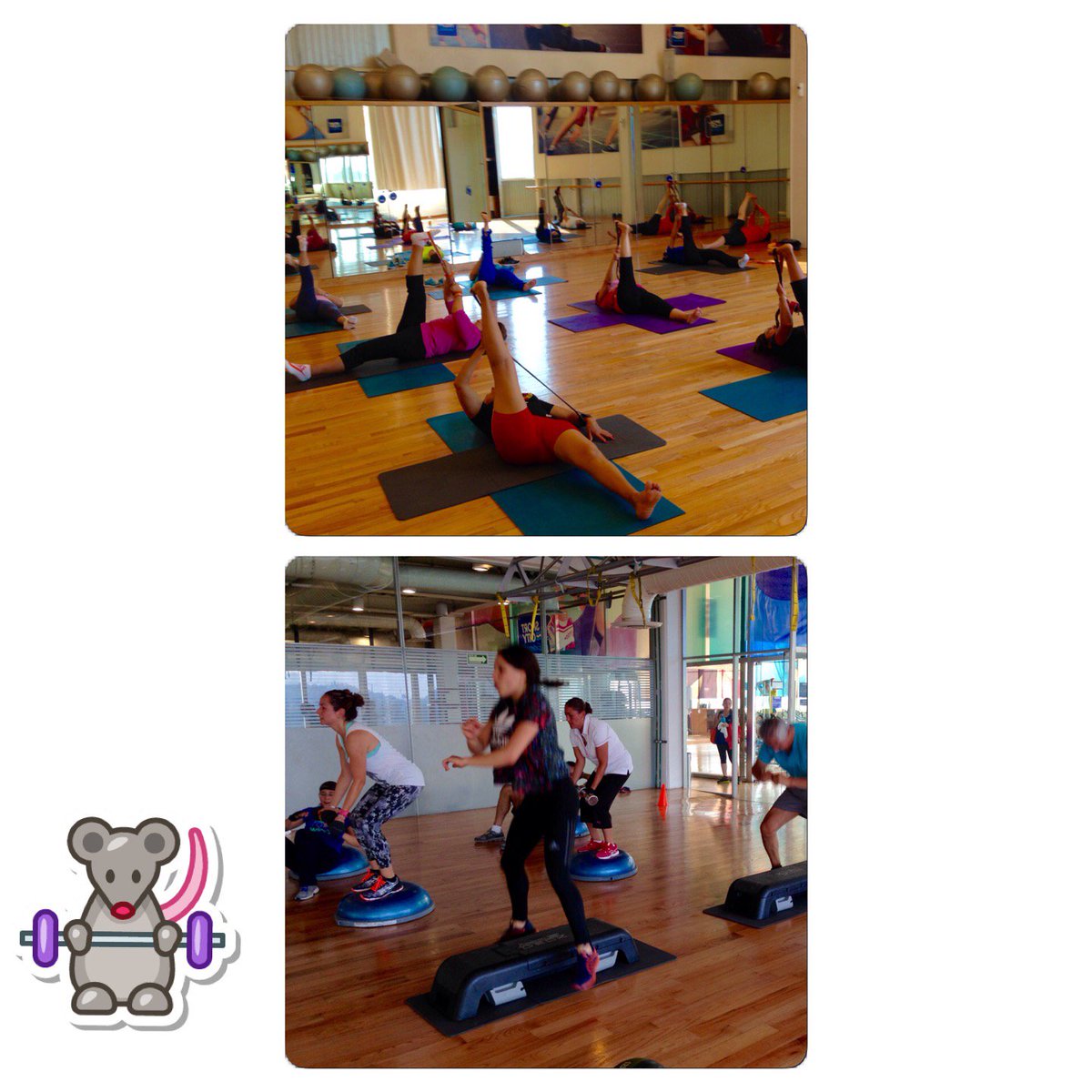 PaleFitness's tweet image. Acabe mis Clases de #AbdYGluteo #CircuitTraining y #FlexTraining y vaya que... swarmapp.com/c/4tfq2ZUuKxp