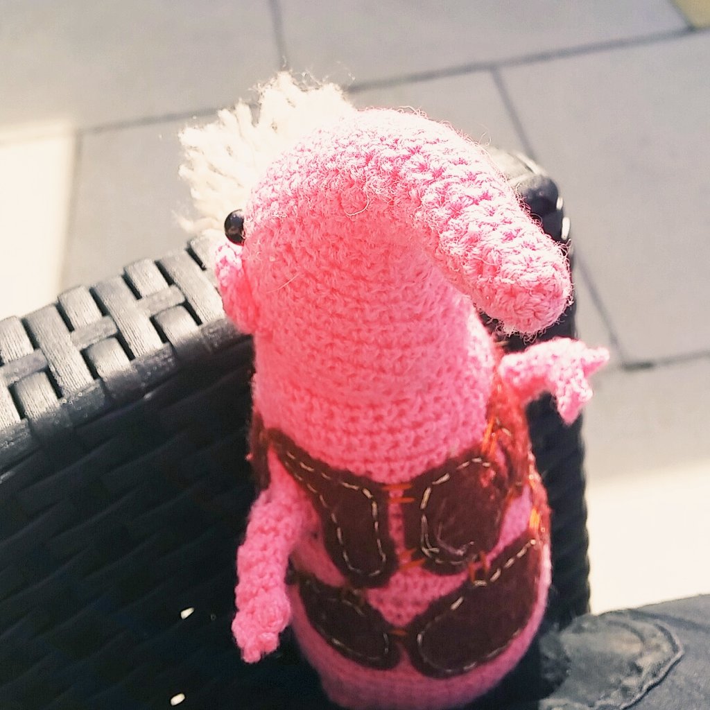 clanger_loves's tweet photo. Sun sun sunnnn!  #clanger getting more pink!!! https://t.co/Xzfmli5QJX