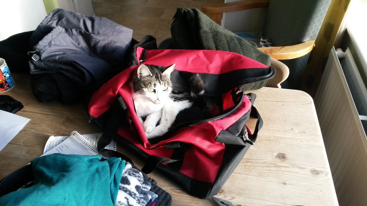 @WhatGeorgiaSaid kitty in a bag?