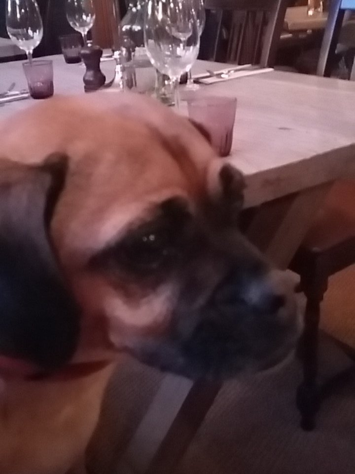 evemelia's tweet photo. A new friend https://t.co/BSJJoTDReX