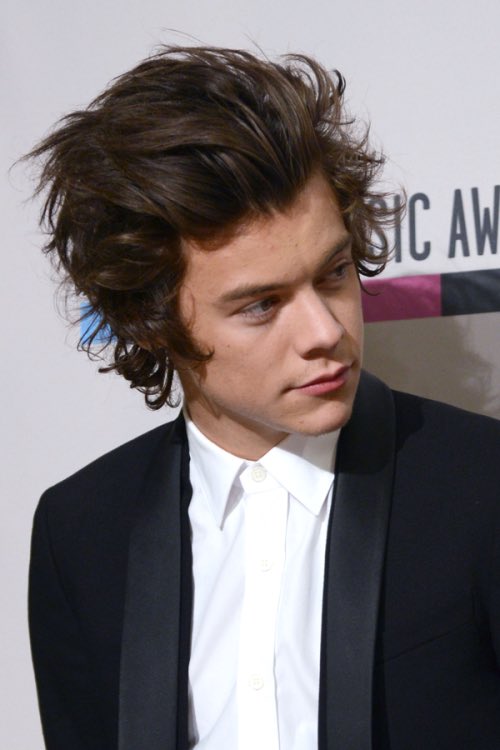 xxonedsmjles's tweet photo. VOLETE DIRMI CHE RITORNEREMO A QUESTO?! #RIPHarrysHair #Littleprincesstrust @harrystyles https://t.co/qULIA125EH