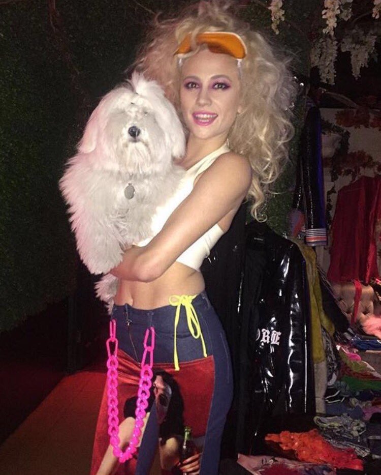 LCSToday's tweet photo. #LCS director #DanBlake's puppy Leo getting industry connected hanging with #PixieLott #styled by #LoubyMcLoughlin π https://t.co/wWYwgdJKfy