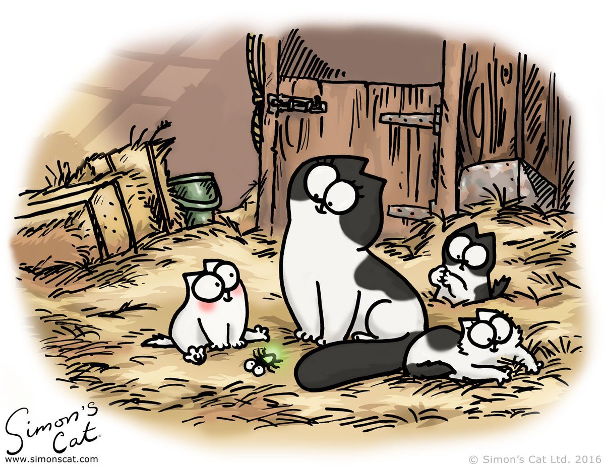 SimonsCat tweet picture