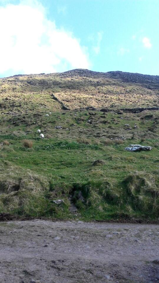 DavidKelly2597's tweet photo. @binkystar1106 @lifestylesports bit of climbing we'll see how the runners do #Store71 https://t.co/jUgyrVrDSs