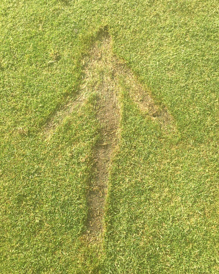 SarahSchober92's tweet photo. Game is in good shape⛳️🏌🔝 Next stop: Lugo, Spain🇪🇸 
#beingcreative #divotes #arrow https://t.co/nKBrXYtpSs