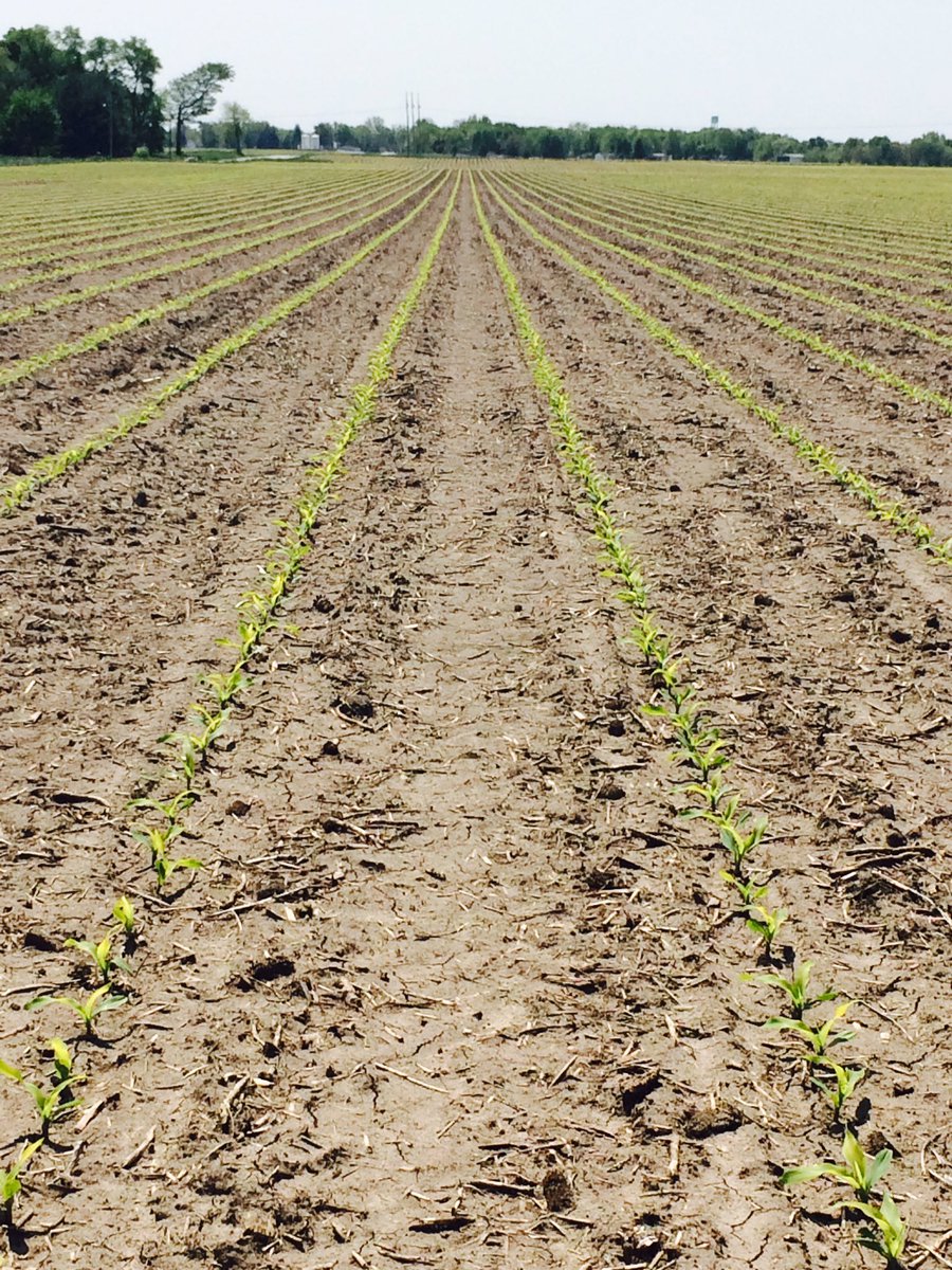 NickYates89's tweet photo. Can't beat the auto steer performance of an OnTrac3! @AgLeaderTech @PrairielandFS https://t.co/Z7WLCTCieZ