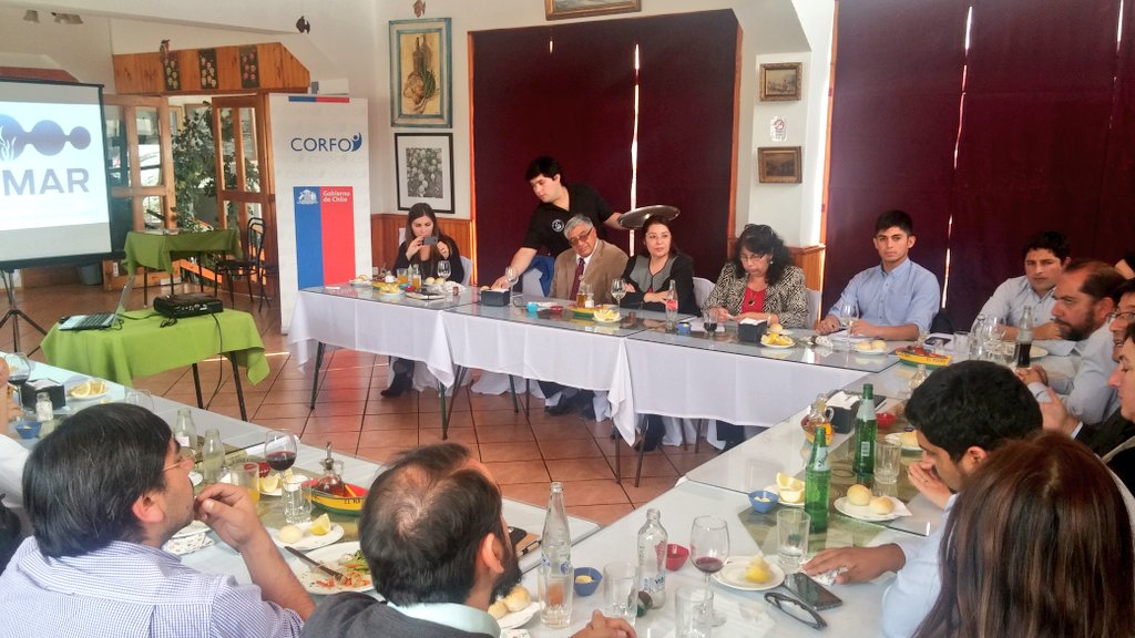asanchezaraya's tweet photo. @Corfo en sesión #Comiteampliado #PER #BIOPRODUCTOSMARINOS @gorecoquimbo @SegegobCoquimbo @EduardoBitran @marcelan https://t.co/uLkbP2MEvP