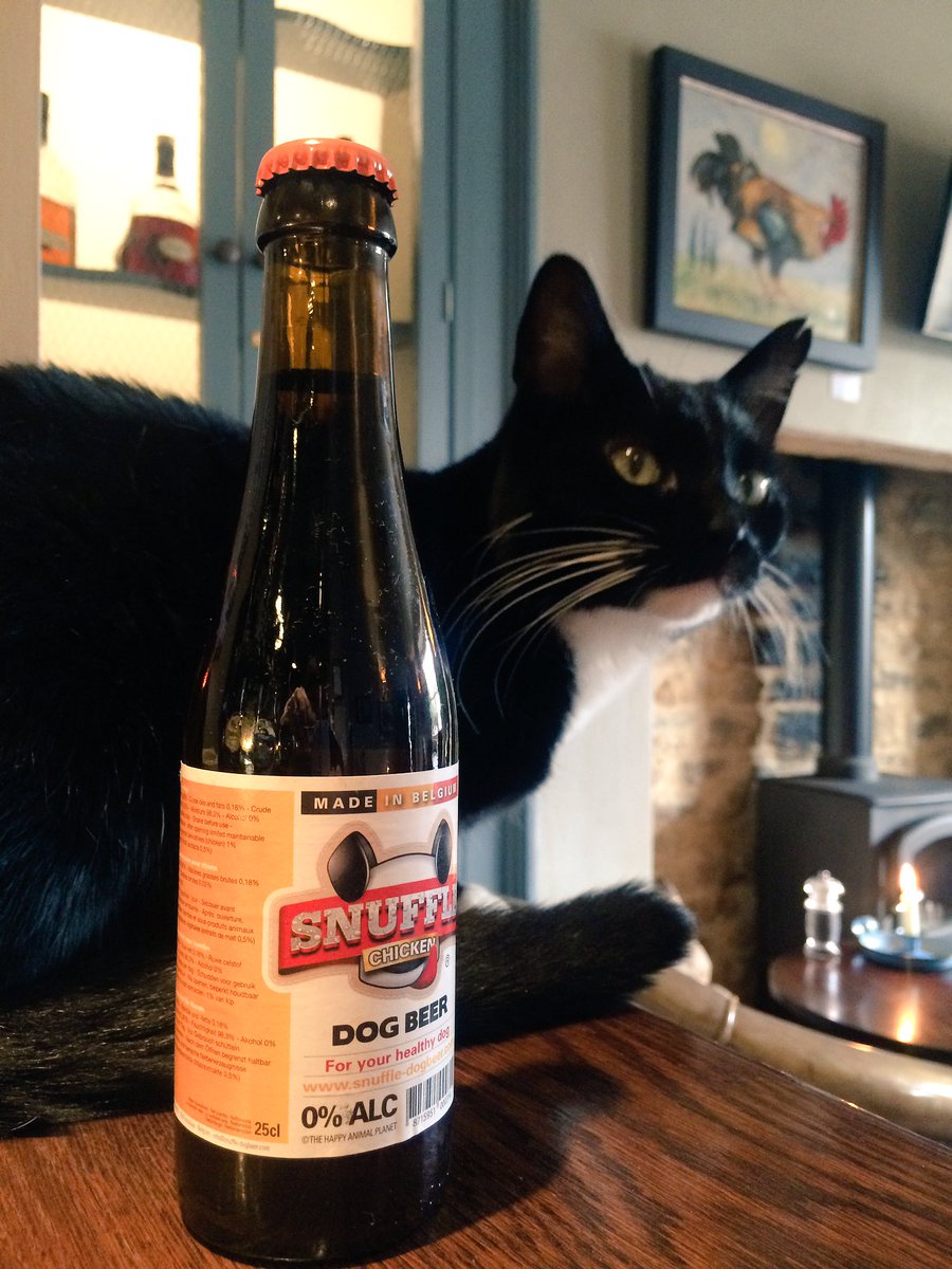 Mally The Ex Pub Cat tweet media