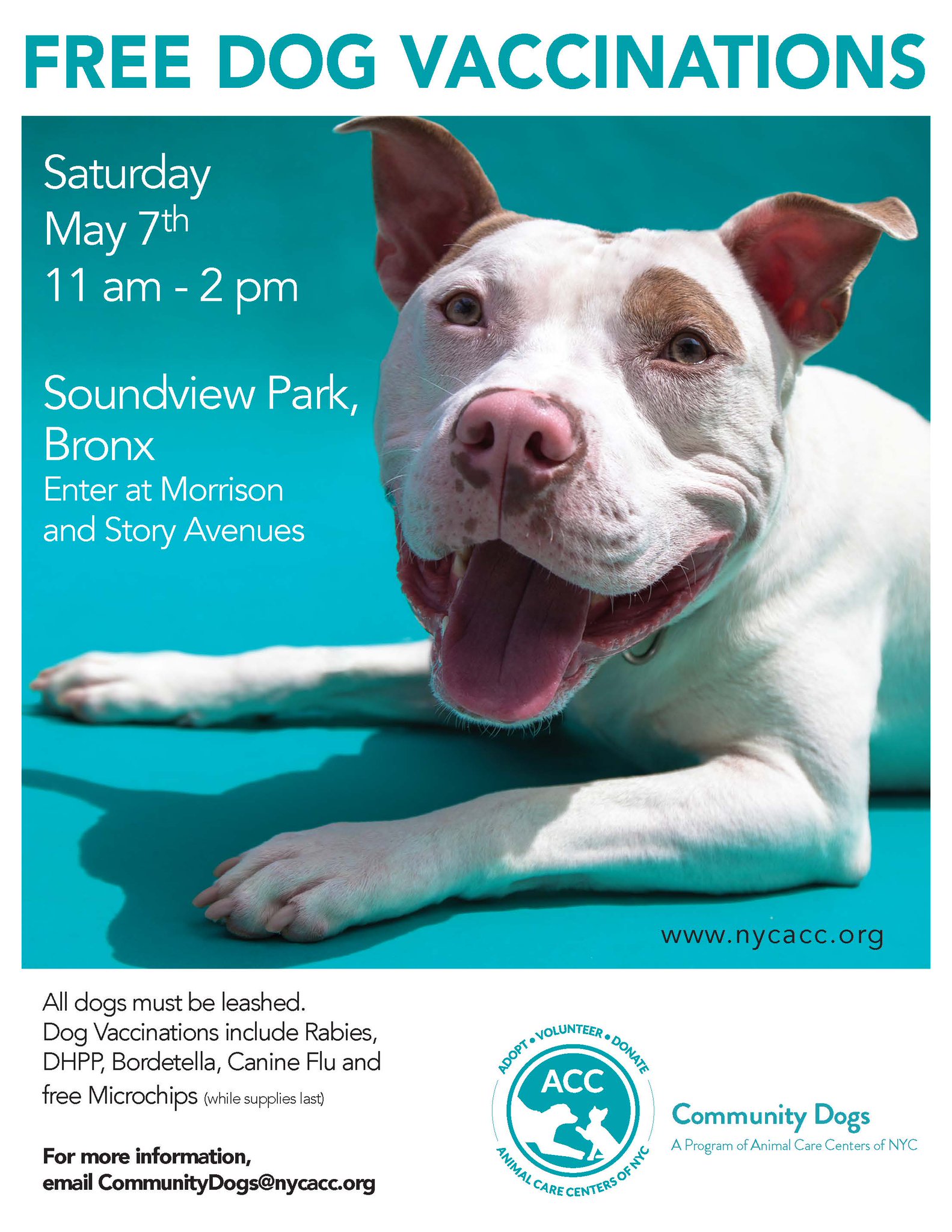 Andrew Cohen on Twitter "Join NYCACC tmrw 11am2pm at Soundview Park