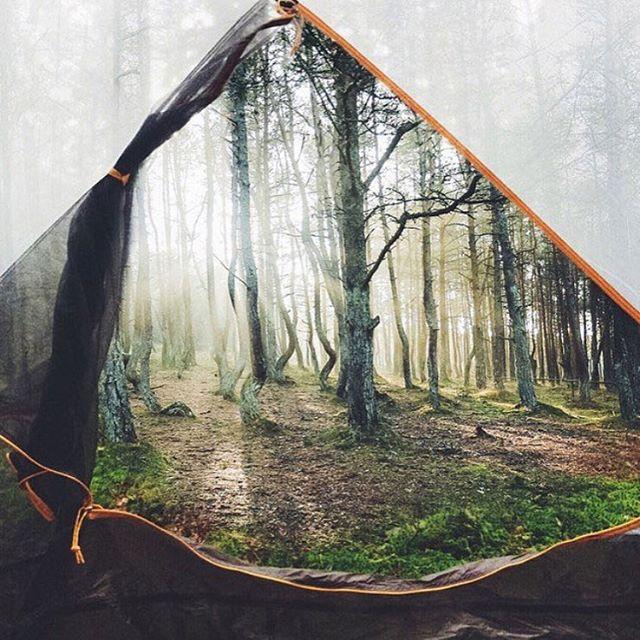 hiking_official's tweet photo. Perfect tent view.  Photo by @IgorCibulsky. Enjoy life! #adventure #explore #camping #hiking_official https://t.co/fs9eW6C3MS