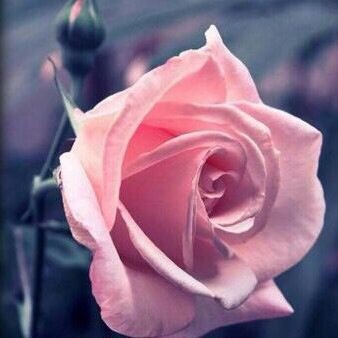 مين حاب نتقابل 
ابهاااا