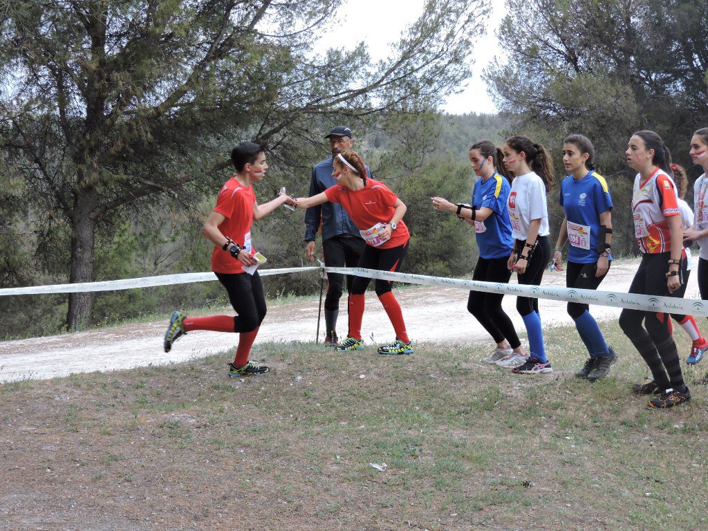 JuntaGranada's tweet image. El Campeonato de España de #Orientación Infantil y Cadete continúa el sábado en #Iznalloz #CEEOrientacion2016