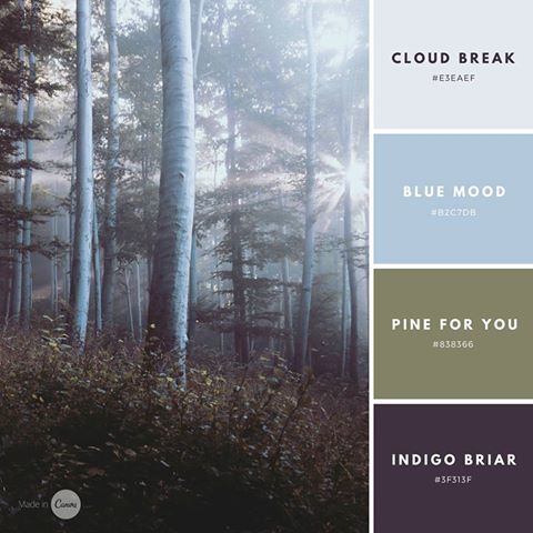canva's tweet photo. Color Combination: Willow Dawn. Try this deep and moody combination in your next design. #graphicdesign https://t.co/heMsnyKivR