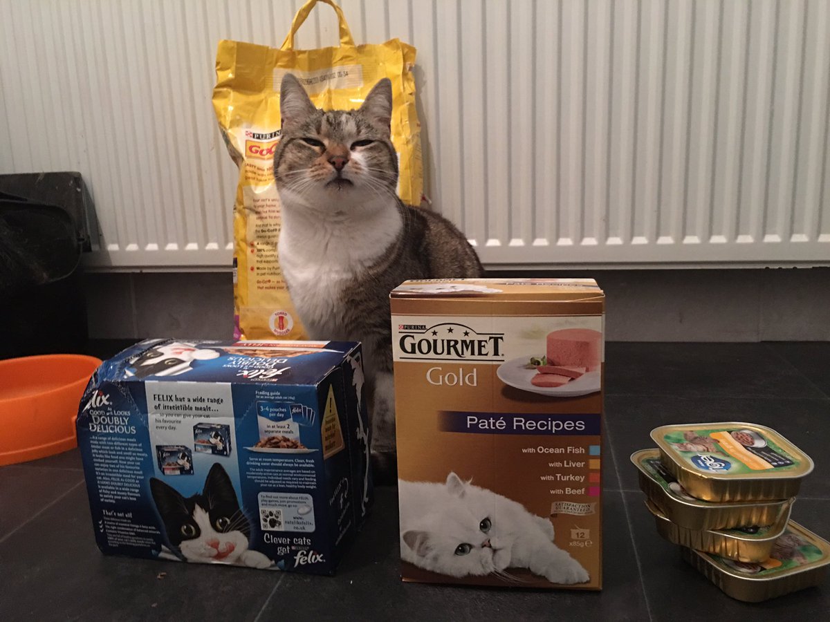 She decides what she wants to eat, not me. She is Butters. She does what she wants. #fussycats