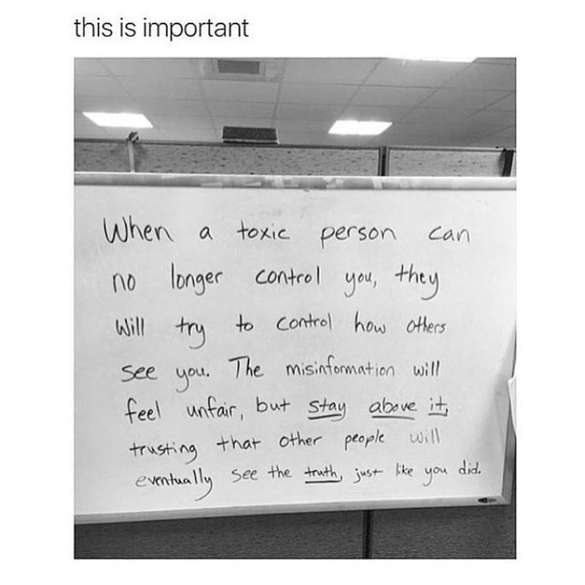 trulytrissia's tweet photo. Relevant. https://t.co/kuZI3dXLo4