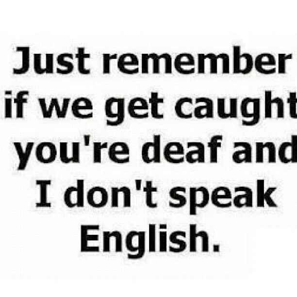 Funny Pictures tweet media
