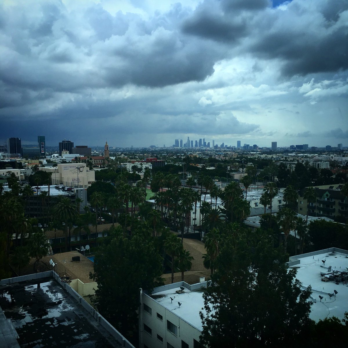 LAWomenInMusic's tweet photo. What's going on with this #LA weather? #LAWIM https://t.co/M2o2IG8b92