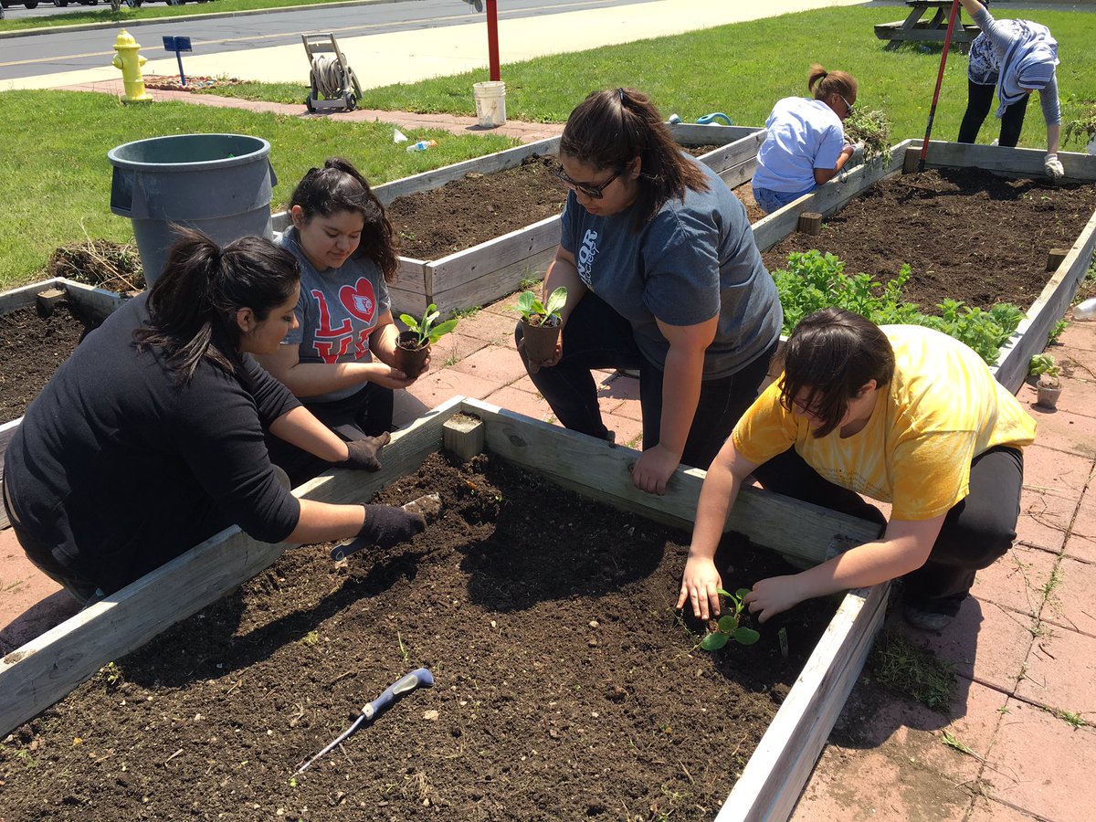 BDU_Scholars's tweet photo. Our BDU Eco Club had a very successful gardening day at the BDU-WTP Garden! https://t.co/572rkWzr4u
