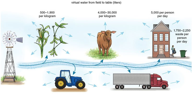 AmSciMag's tweet photo. Rational thinking about #water may be key to ensuring a clean, plentiful supply for #future https://t.co/gwgnCDFtR3 https://t.co/c21h7kLUn9
